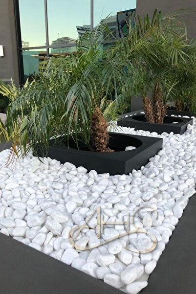 AHS Beyaz Dolomit Taş 25 Kg 4-6 Cm Dere Çakıl Taşı Bahçe Peyzaj Süs Taşı Saks...