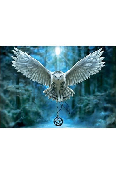 EDUCA Puzzle Awake Your Magic 500 Piece Puzzle