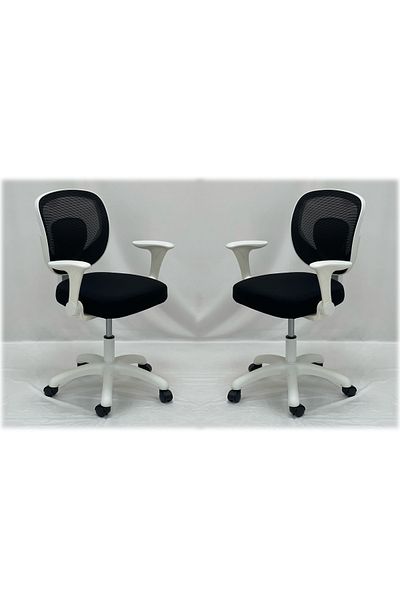TrentonGCC Ergonomic Mesh Office Chair with Sleek White Accents - 2 SET