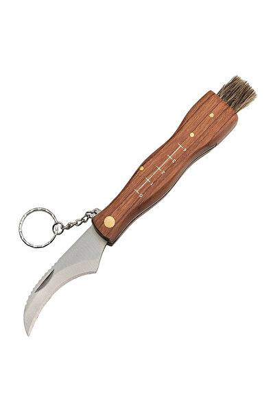 Depox Nůž na houby, Pilzliebhaber, nerezová ocel, dřevo, 21 cm, hnědá