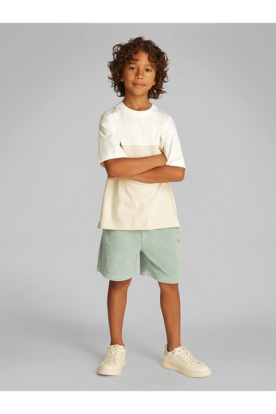 Calvin Klein Boys Multicolor Color Block Short Sleeve T-Shirt