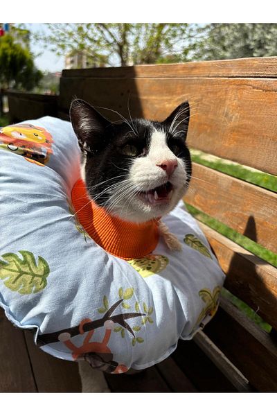 Petris Cat And Dog Neck Collar - Elizabeth Collar Operation Neck Collar - Cat Neck Pillow (SAFARI)