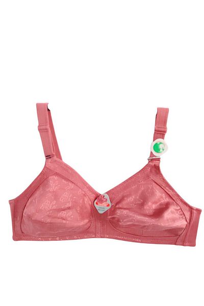 wear treasure Plus Size (110-130) t & D Cup for Women with Wire Support Immersive