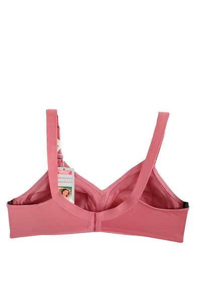 wear treasure Plus Size (110-130) t & D Cup for Women with Wire Support Immersive