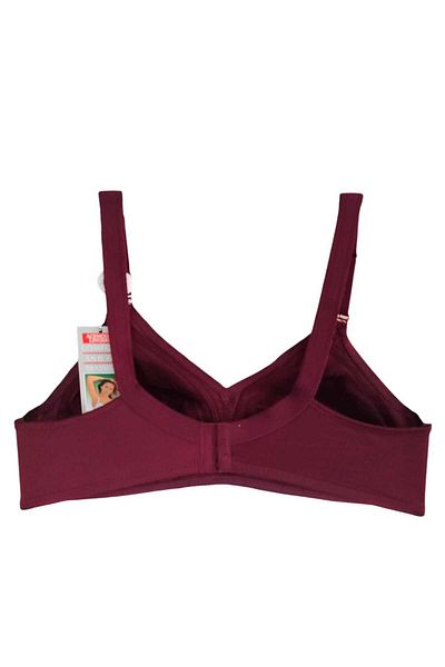wear treasure Plus Size (110-130) t & D Cup for Women with Wire Support Immersive