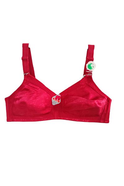 wear treasure Plus Size (110-130) t & D Cup for Women with Wire Support Immersive