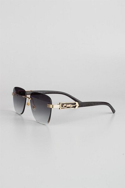 Max Polo Smoked Gradient UV400 Filter Women's Sunglasses G24mps3203r03