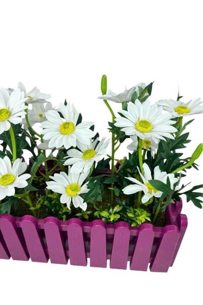 Nettenevime Yapay Çiçek Beyaz Kasımpatı Papatya Mor Çit Saksıda Küpeşte Askılı Balkon Çiçeği Çiçek Sepeti