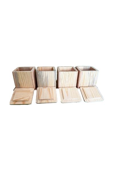 hanartz Pine Tree Handmade Set of 4 Spice Jars + Wooden Case |   Natural Design