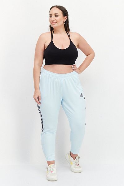 adidas Women Plus Size Brand Logo Training Track Pant, Blue
