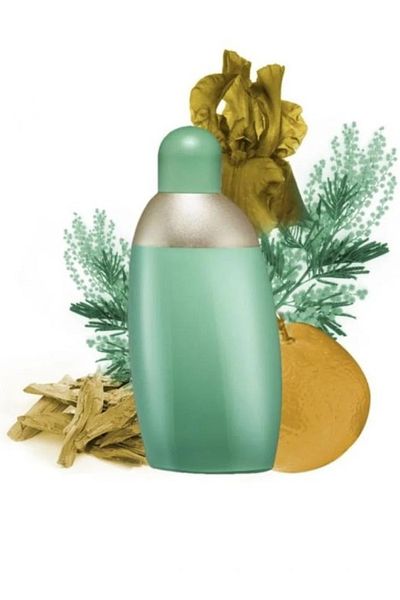 Eden Classics Cacharel Eden Green Eau de Parfum 50ml