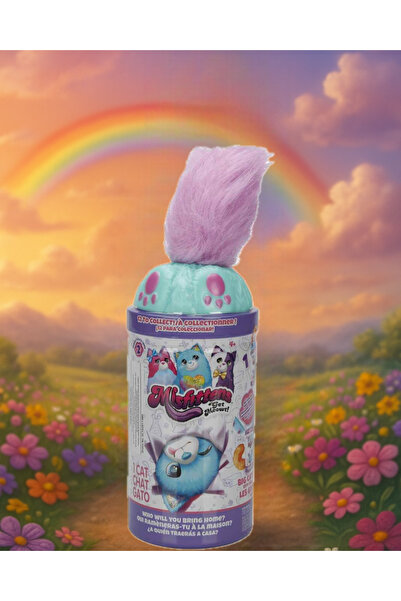 Fillikutum Misfittens Sürpriz Peluş Kutusundan Çıkınca Şaşırtan Sevimli Kedi ...