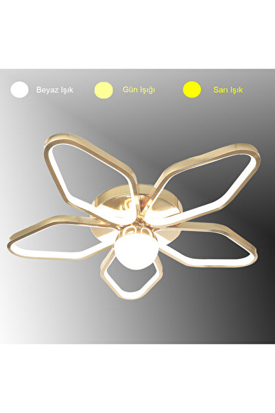 TT AYDINLATMA TT337-FSR TT Aydınlatma 3 Renk Modüllü Toplu Fransız Sarı Kapla...