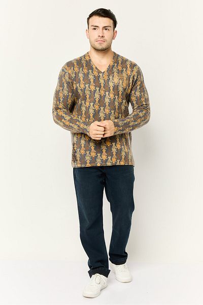 Christian Audigier Men V Neck Embroidered Sweater, Multicolor