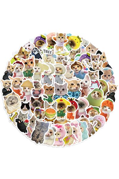 Choice 62PCS 62PCS Funny Cat Stickers Cartoon Cute Decals Toy Stationery Guitar Phone Bicycle Laptop Luggag