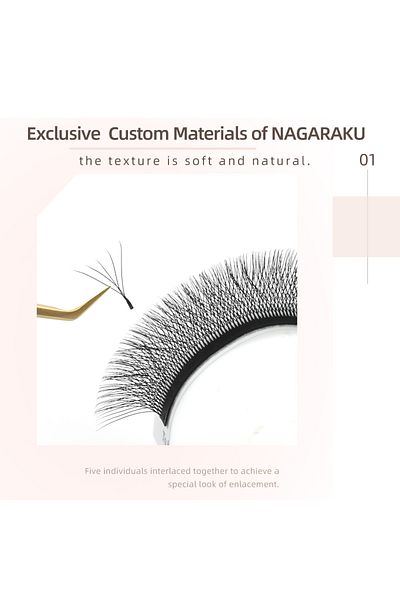 Choice 12mm 0.07mm C Nagaraku 5d W Shape Big Bundle Eyelash Extension Mega Volume Premade Fans Eyelashes Su