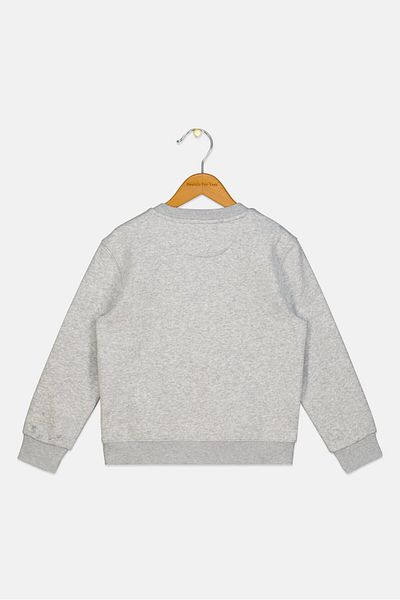 Esprit Kids Boy Long Sleeves Brand Logo Sweatshirt, Dark Grey