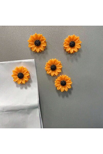 Choice 5 قطع من مغناطيس عباد الشمس المصنوع من الراتنج، منظم قوي للمطبخ والثلا...