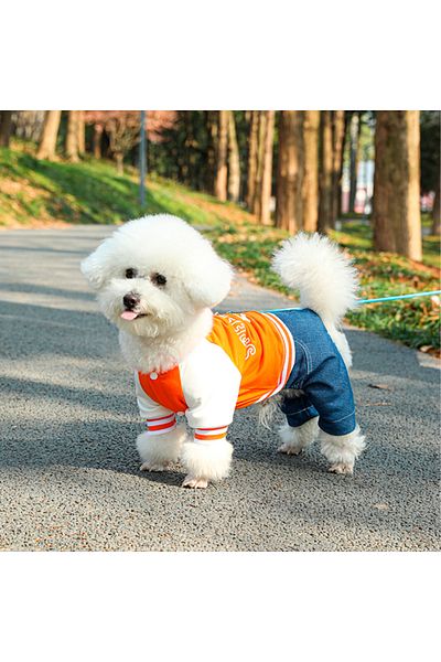 Choice L orange Dog Baseball Jumpsuit, A Soft And Comfortable Pet Jacket, Stylish Pet Clothing Suitable For