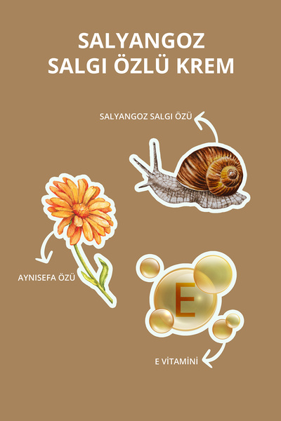 Destek Salyangoz Salgı Özlü Kırışıklık Karşıtı Snail Krem 45 ml