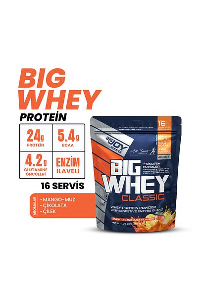 Bigjoy Sports Big Whey Classic Strawberry Flavored Protein Powder 488 g Doypack Whey Protein