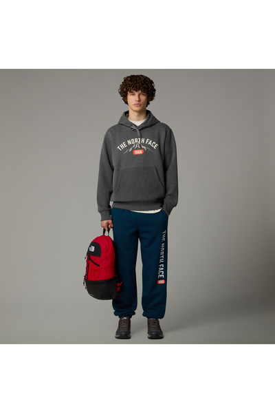 THE NORTH FACE Varsity Graphic m Hoodie - Nf0A89Djdyy1