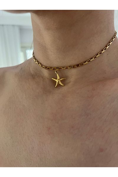 Hoop jewelery Steel Starfish Choker