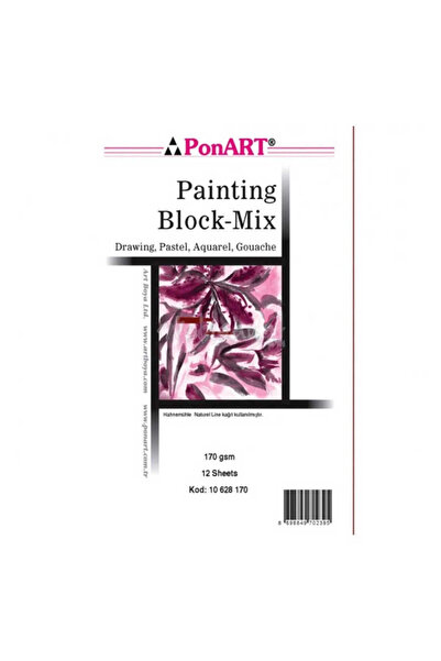Ponart Painting Mix 170 Gr 25x35cm 12 Sheets