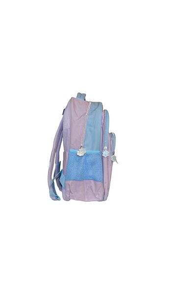 Frozen Children's backpack, 42x27x22 cm, three compartments, multicolor, reinforced and adjustable straps, Frozen