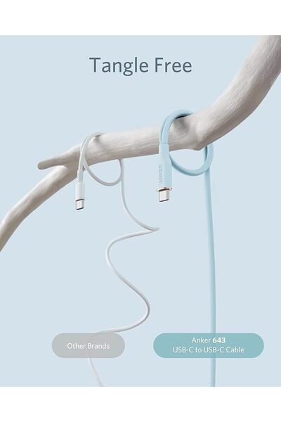 Anker 100W Type-C to Type-C Charging Cable 6 Feet