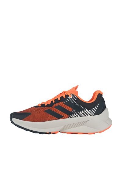 adidas Men's Goratex Running and Training Shoes Terrex Soulstrıde Flow Gtx If5007
