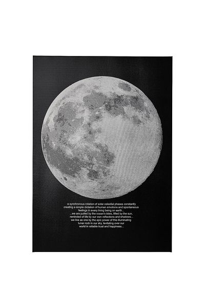 IKEA Pjätteryd Picture, Moonlight, 50x70 Cm