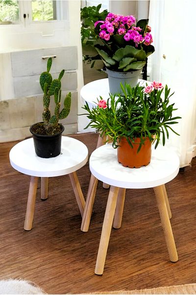 PEKA Wooden Leg 3-Piece Flower Pot Decorative Shelf Flower Pot Flower Stand