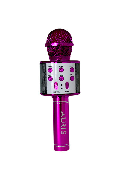 Auris Kareoke Mikrofon