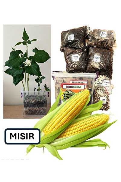 Fide Yetiştirme Eğitim Seti - Mısır - Hobi Eğlence Eğitim - 16,5x11x15 (H) Cm - 1.45 Litre