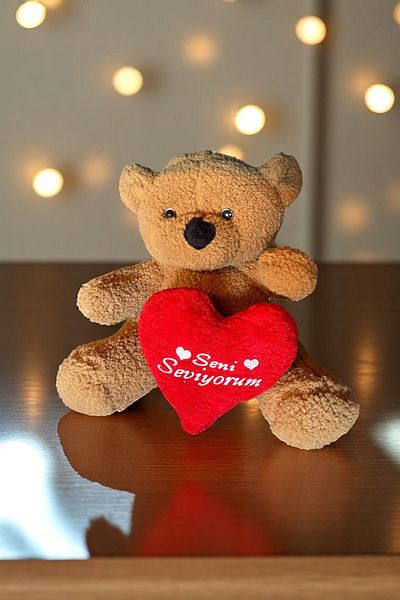 Canestar I Love You Cute Plush Teddy Bear with Heart Gray - Special Heart Teddy Bear for Lover