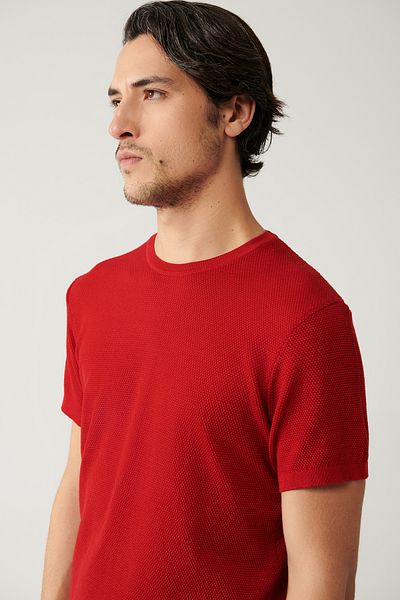 Avva Men's Red Crew Neck Textured Cotton Knitwear T-Shirt E 005027