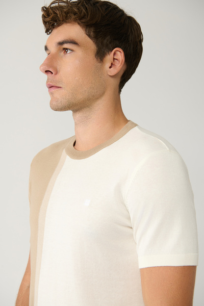 Avva Men's Mink Crew Neck Color Block Knitwear T-Shirt A41Y5062