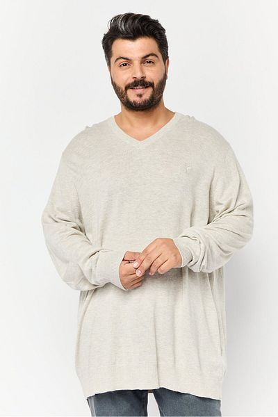AMERICAN EAGLE Men V-neck Embroidered Logo Sweater, Light Grey
