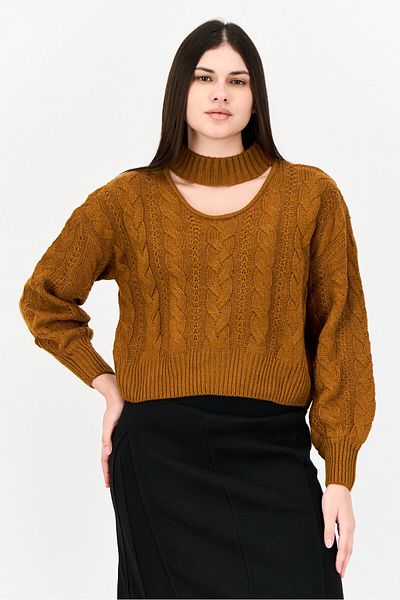 PİNK ROSE Women Chocker Neckline Knitted Crop Sweater, Brown