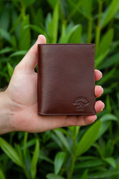 Newish Men's Brown Genuine Leather Card Holder and Wallet