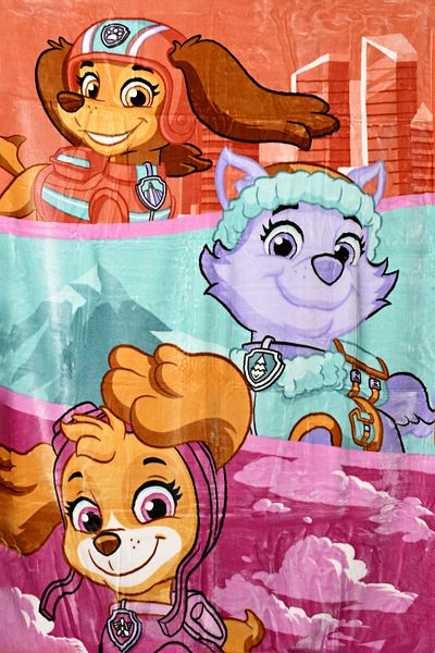 PAW PATROL Raschel Blanket - Paw Patrol, Red Color -BL/PAW/24/C4