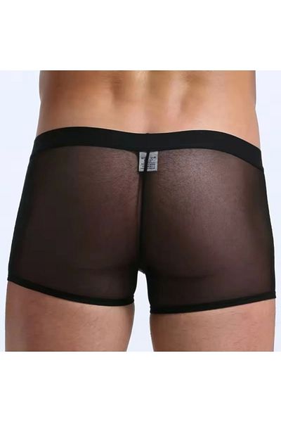 Lasirius Fancy Transparent Tulle Men's Boxer Fancy Thong
