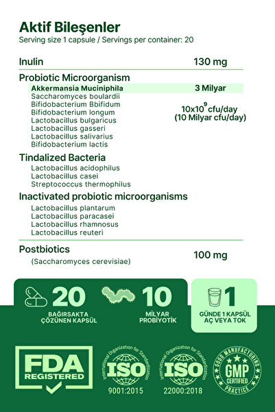 anocin Akkermansia Muciniphila Probiyotik + Prebiyotik + Postbiyotik + inulin . x6 kat daha çok akkermansia