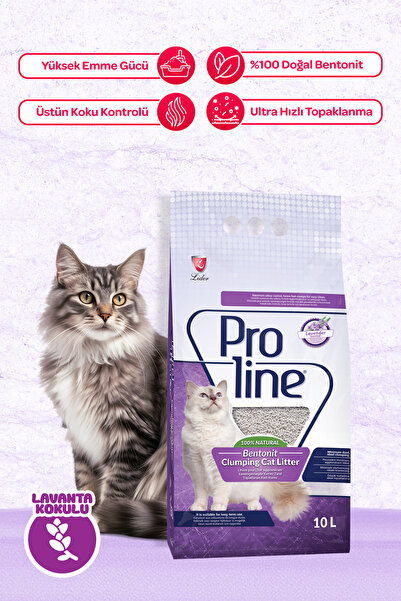 PROLINE 10LT İNCE LAVANTA BENTONIT KEDI KUMU
