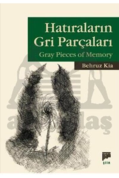 Pan Yayıncılık Hatıraların Gri Parçaları; Gray Pieces Of Memory