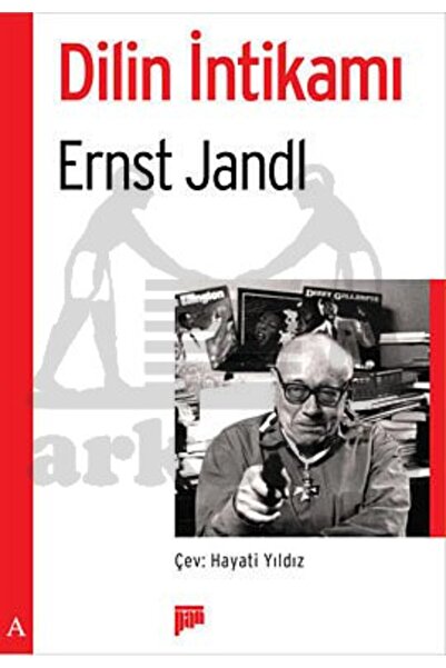 Pan Yayıncılık Dilin İntikamı
