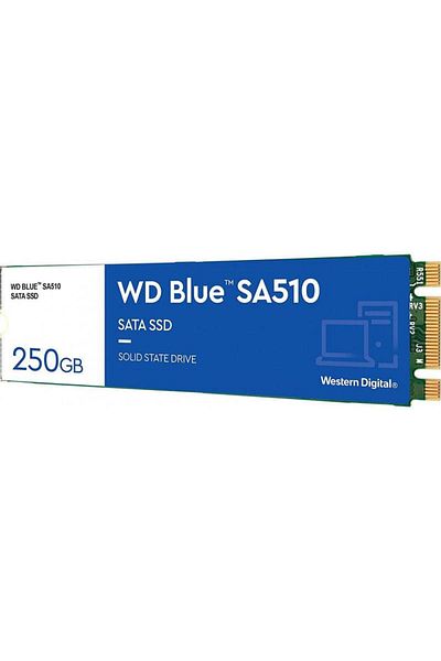 WESTERN DIGITAL SSD Western Digital Blue SA510 250GB SATA-III M.2 2280