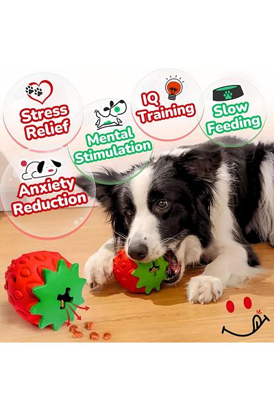 Yelajoy Interactive Treat Dispensing Chew Dog Toy,IQ Mental Stimulation & Enrichment,for Dogs Pets