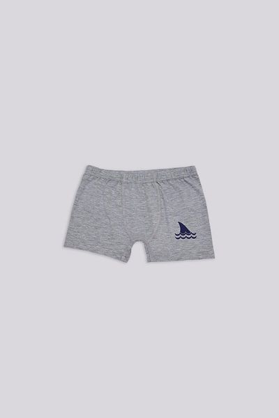 Nebbati Bg Store Boys Colorful Boxers